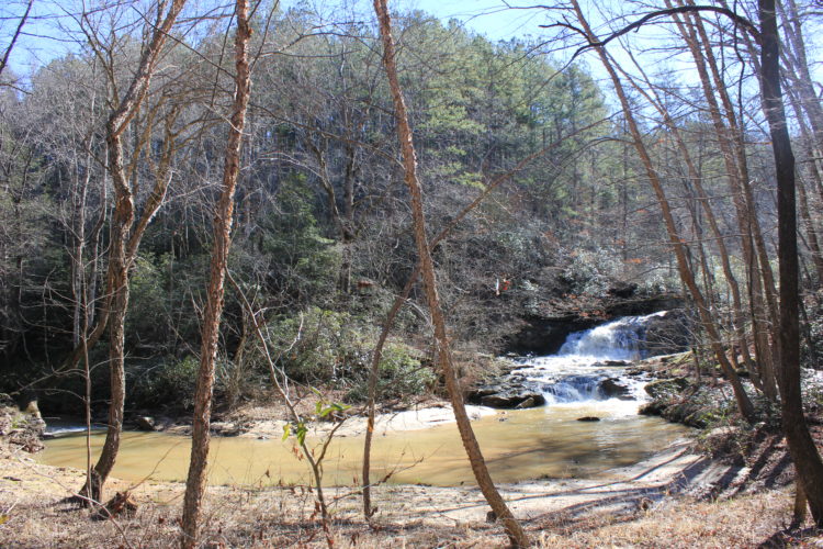 Waterfall at Walnut Creek Preserve