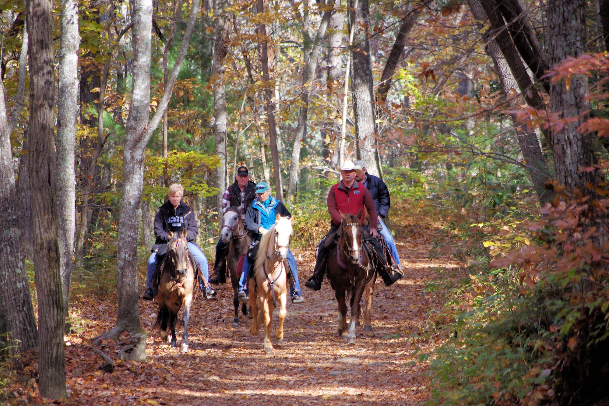 Horse riding on DuPont Forest trails. Photo by Mark File, RomanticAsheville.com.