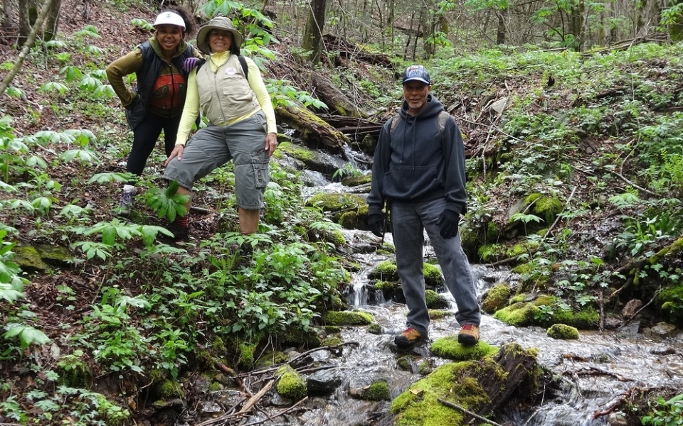 Hiking group on stream on Trombatore Trail