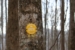 Florence Nature Preserve Trail Marker