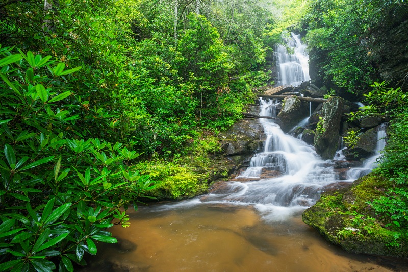 Reece Place Falls, photo by Kevin Adams