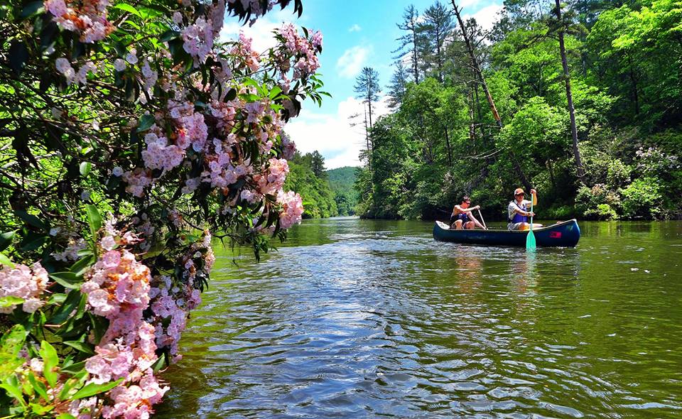 Spring on the upper French Broad River