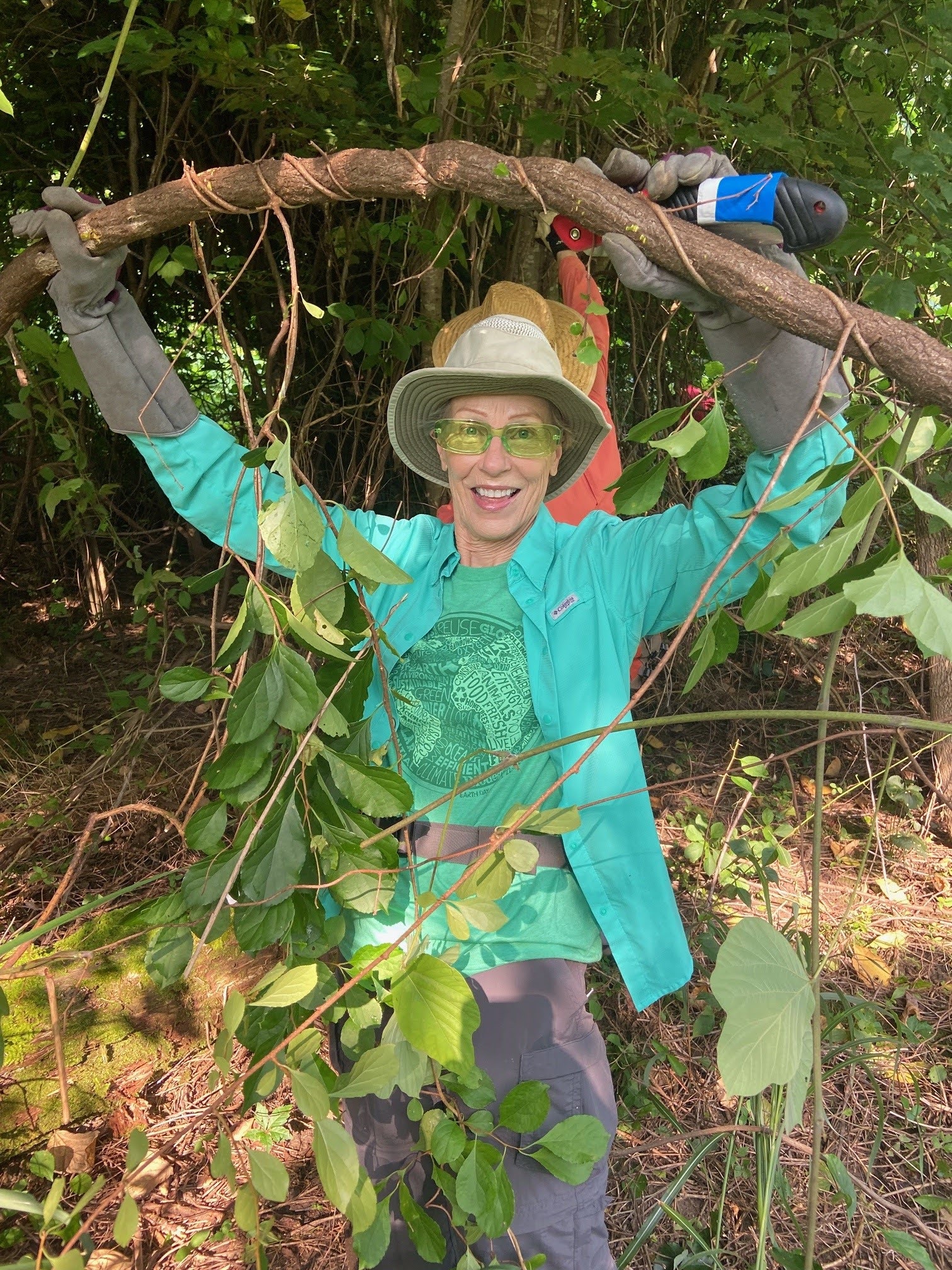 Volunteer with large kudzu vine