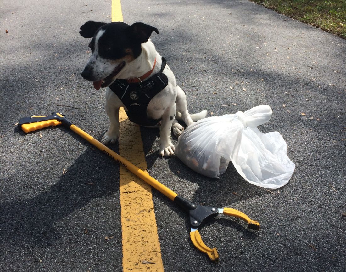 dog cleaning greenway (2)