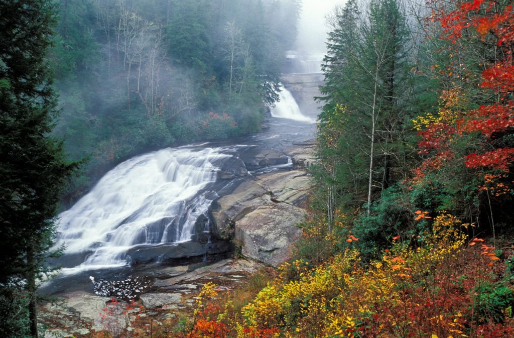 Youth Interpretive Hike DuPont State Forest Conserving Carolina Youth Interpretive Hike Dupont State Forest Conserving Carolina