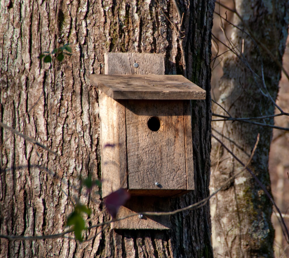 Bird House/ Bird Nesting Box 