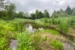 Restored wetland at Carolina Memorial Sanctuary