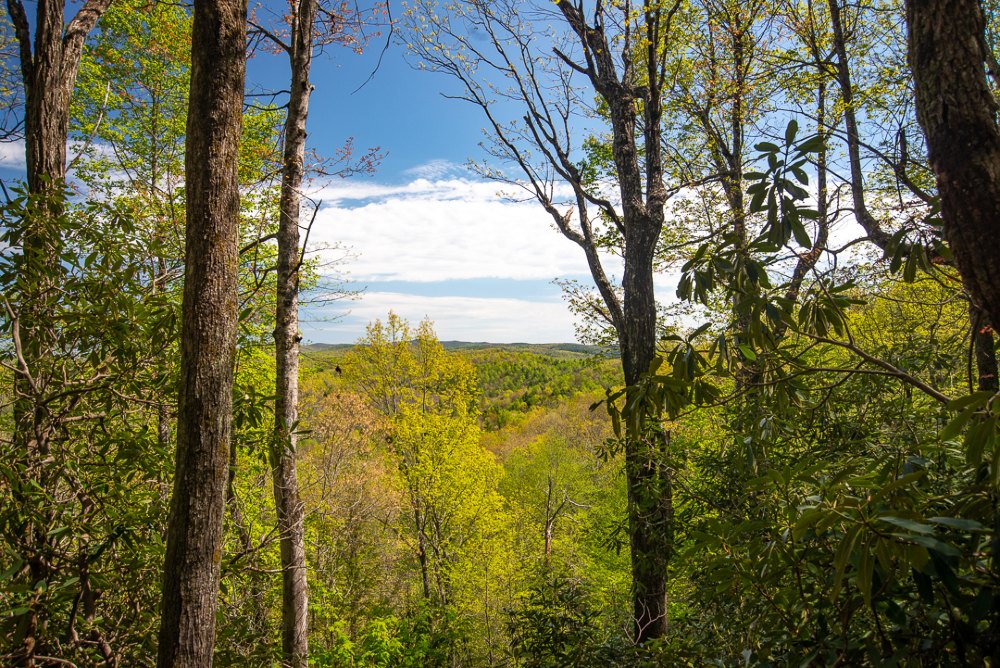 View over Continental Divide Tract at DuPont State Recreational Forest