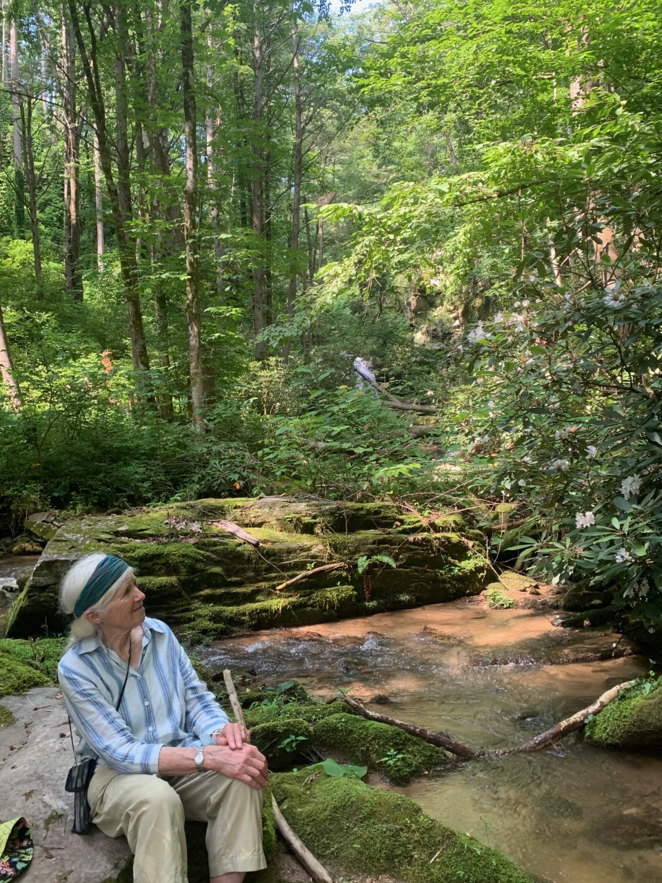 Woman forest bathing