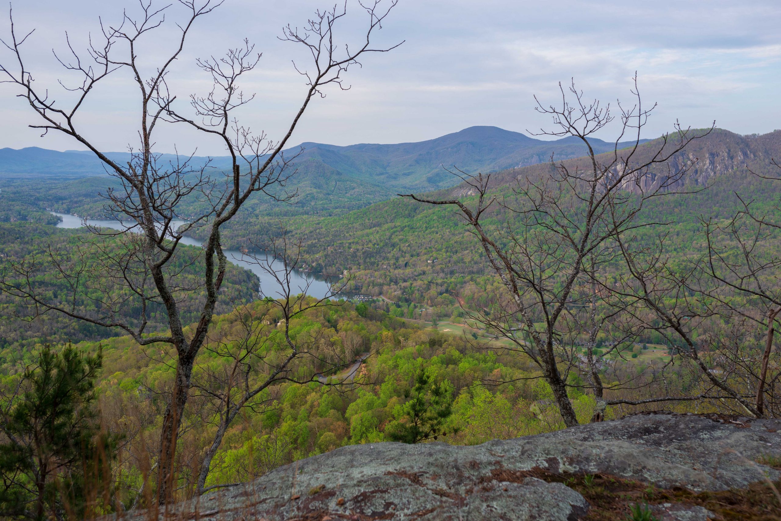 Spring view from Youngs Mountain Trail. By Pat Barcas.
