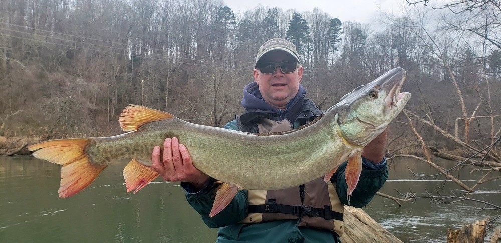 Scott Loftis with a muskie he caught in the French Broad River