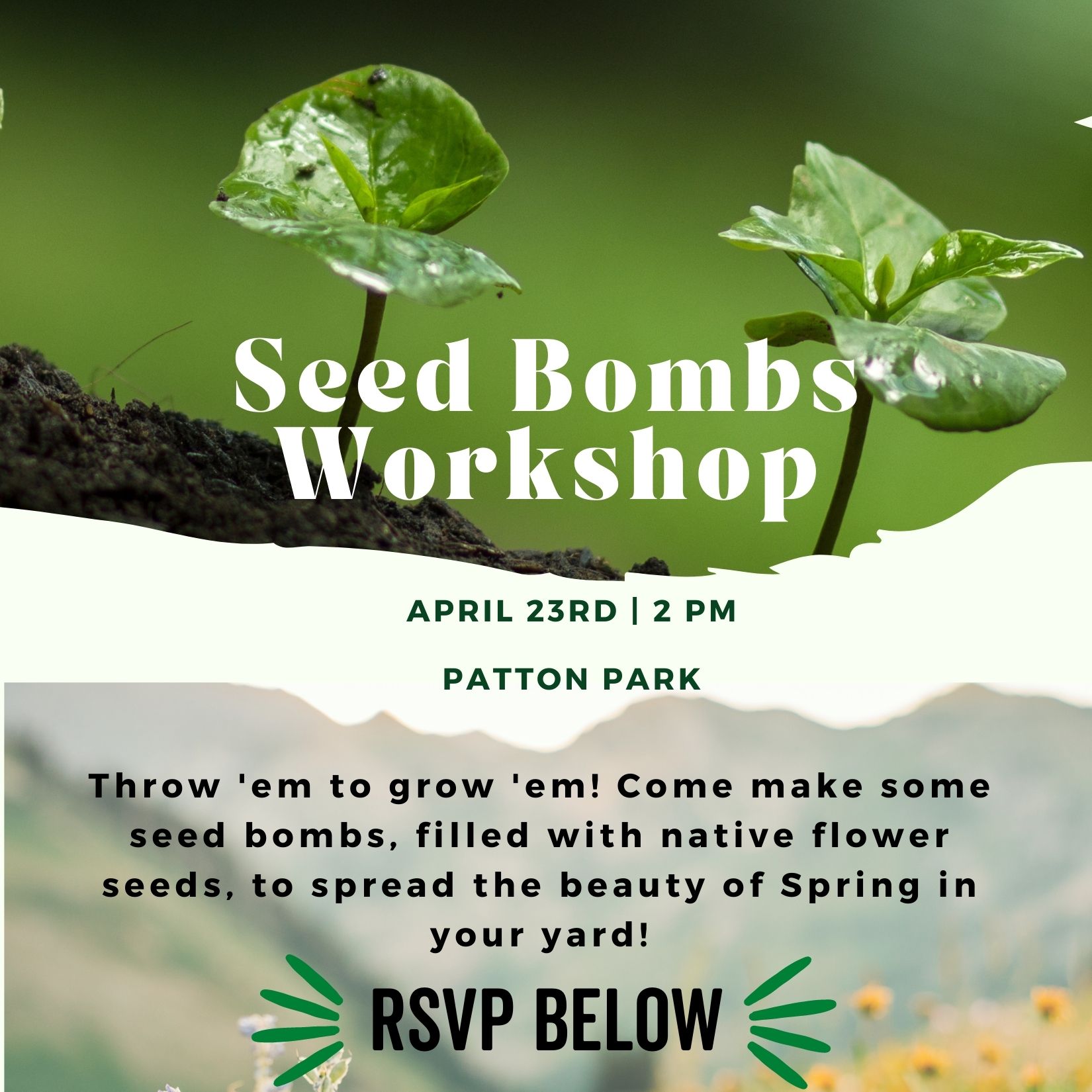 Seed Bomb Workshop - Conserving Carolina