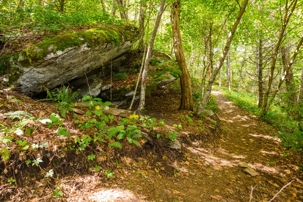 Boulders on Strawberry Gap Trail