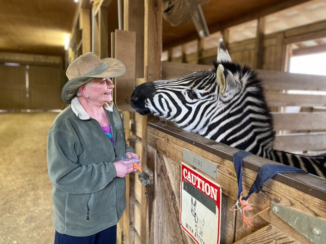 Donna Martin with zebra