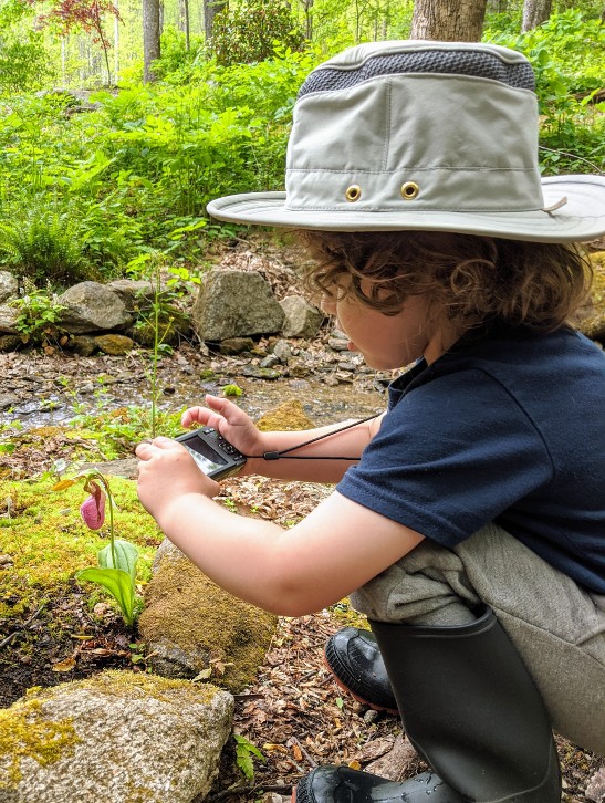 Young photographer capturing native plants.