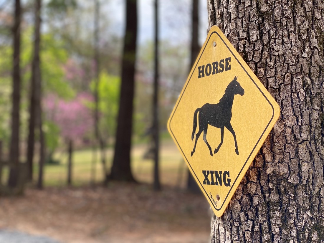 Horse crossing sign at Pony Track Farm