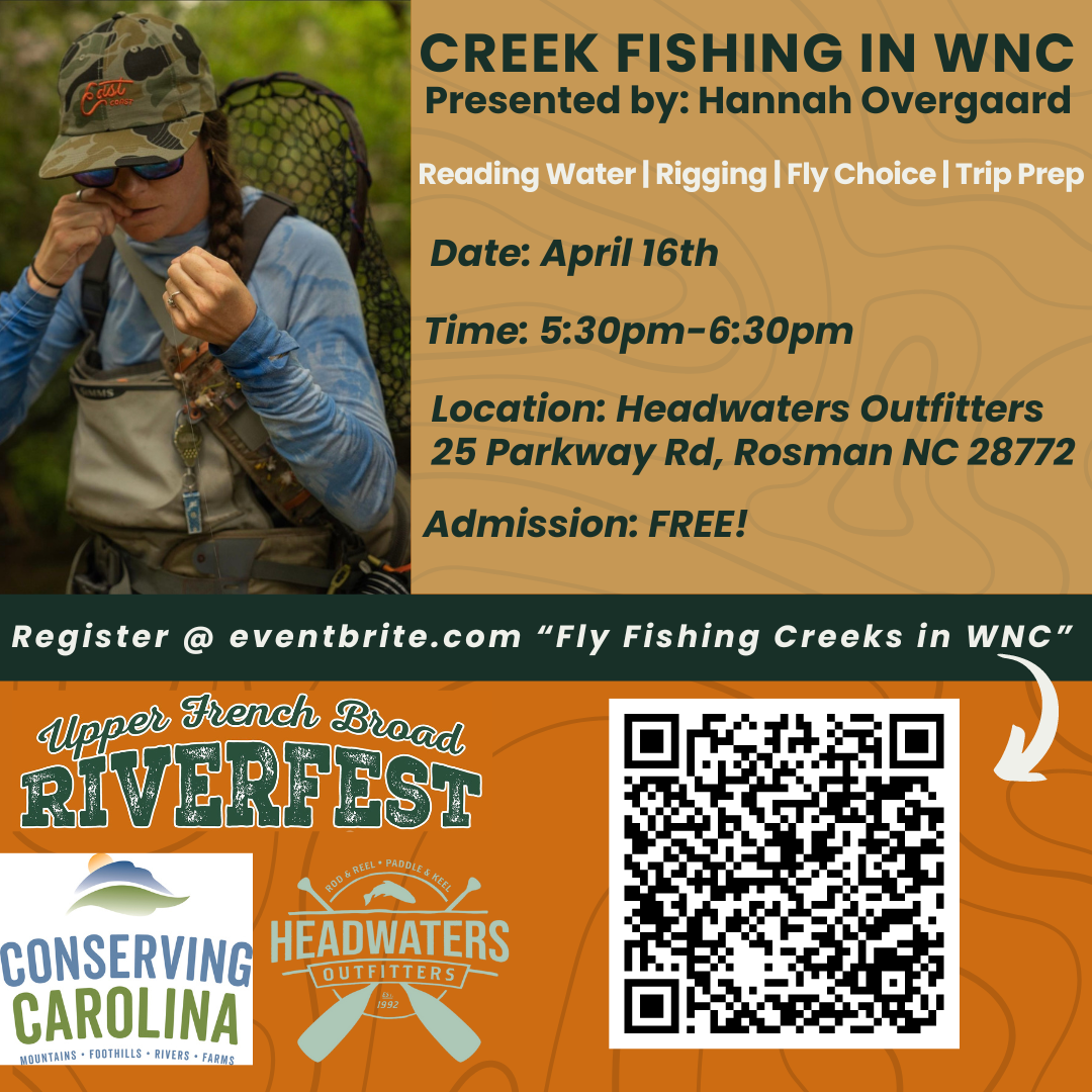 French Broad River Series: LEARN! Fly Fishing Creeks in WNC - Conserving  Carolina