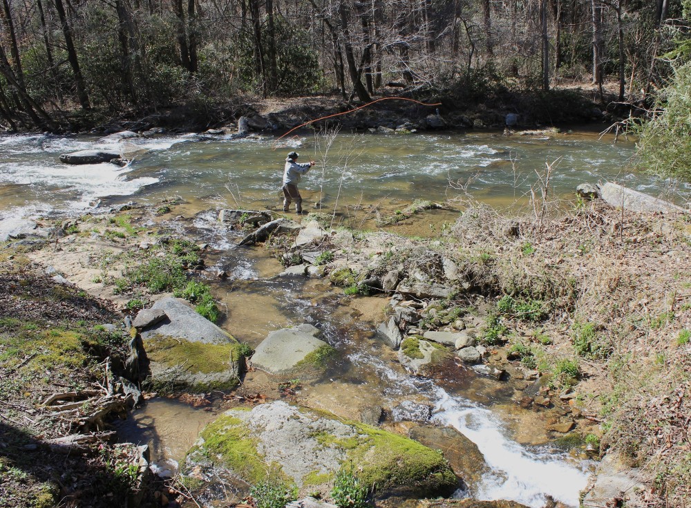 Renewal on the River: Fly Fishing at Transfiguration Preserve