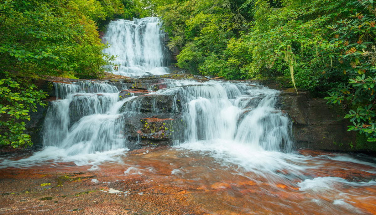 50000 acres protected