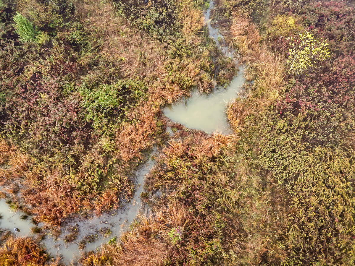 beavers pleasant grove