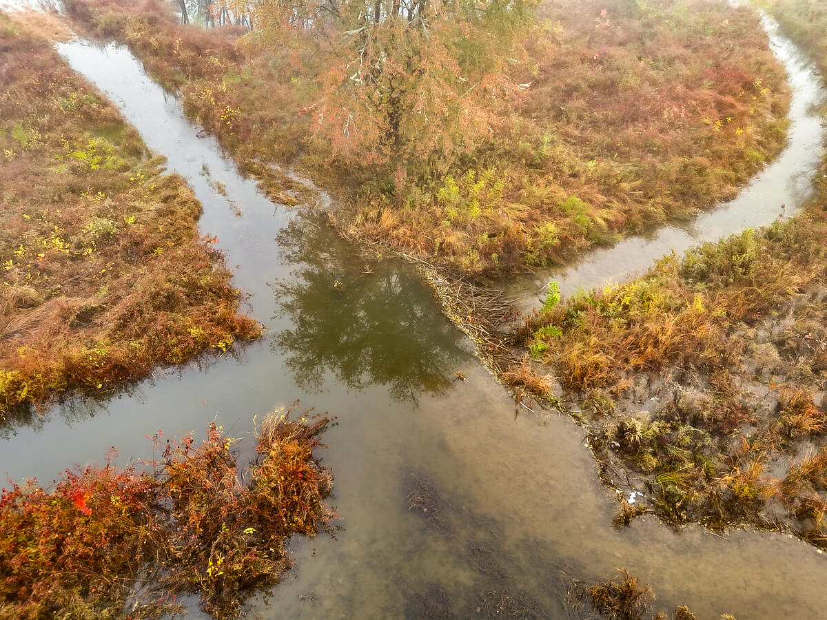 beavers pleasant grove