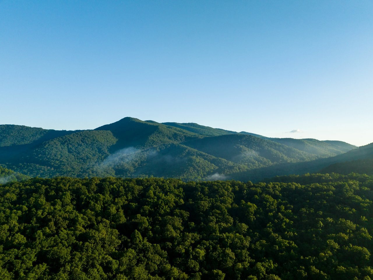 Grant Will Fund New Trails in Fairview - Conserving Carolina