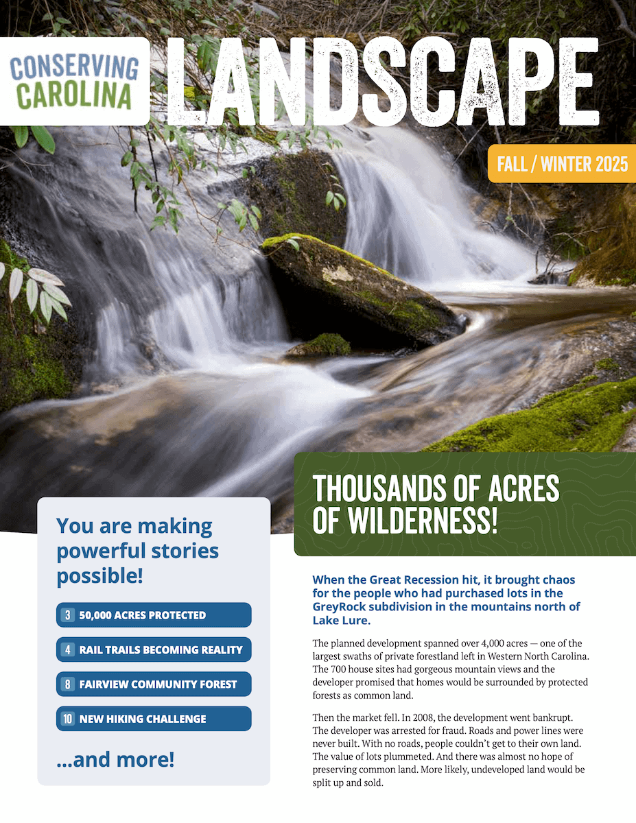 Landscape Fall/Winter 2025