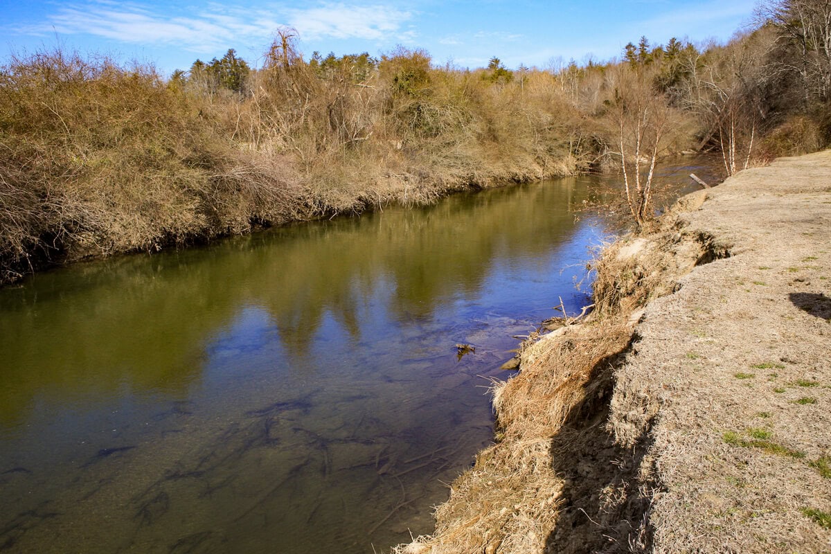 French Broad River Deerwoode