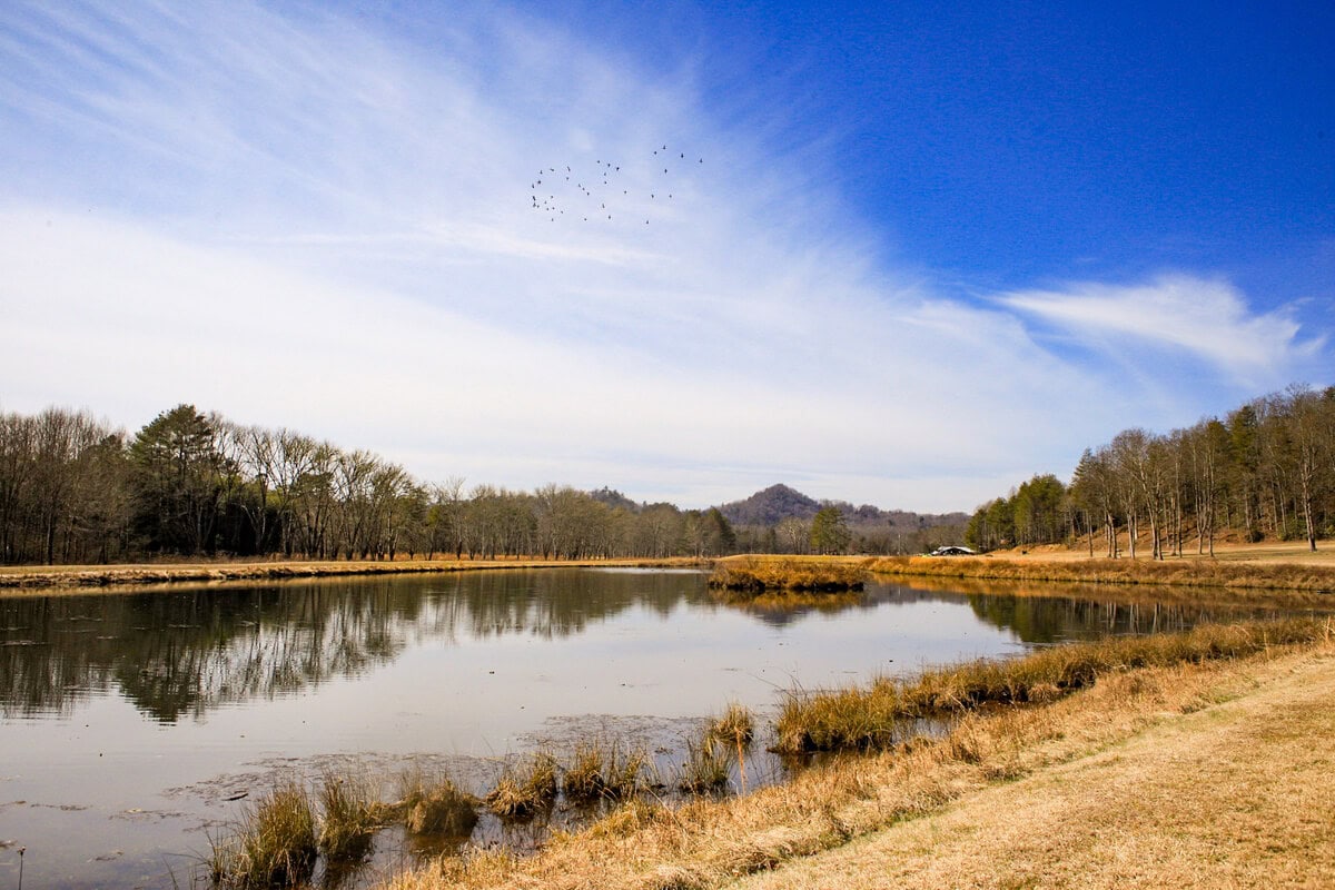 French Broad River Deerwoode