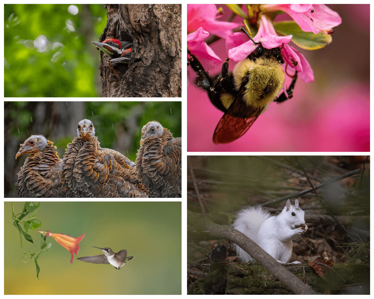 2026 Photo Contest