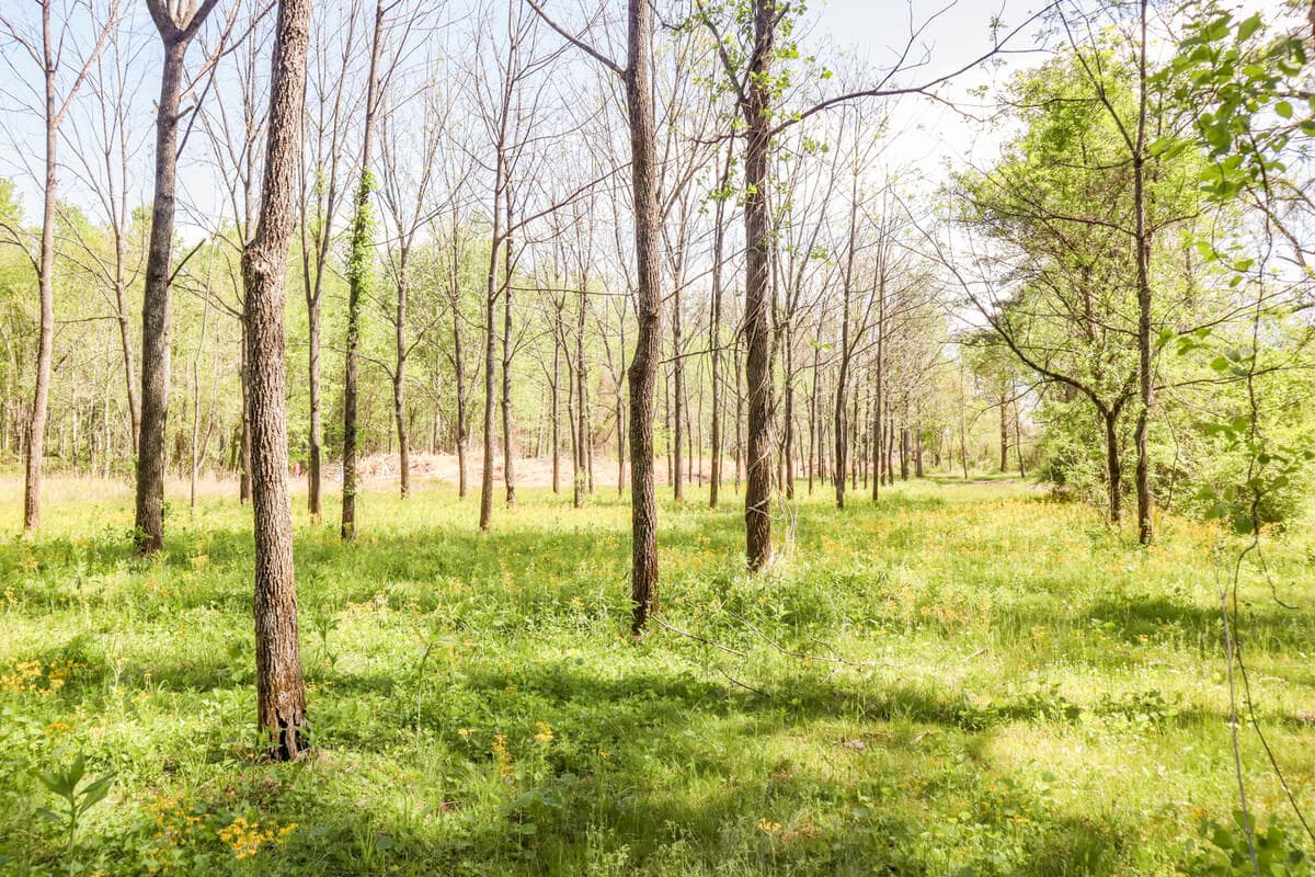 Deerwoode Restoration