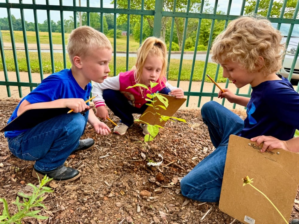 Pinnacle Elementary school garden 