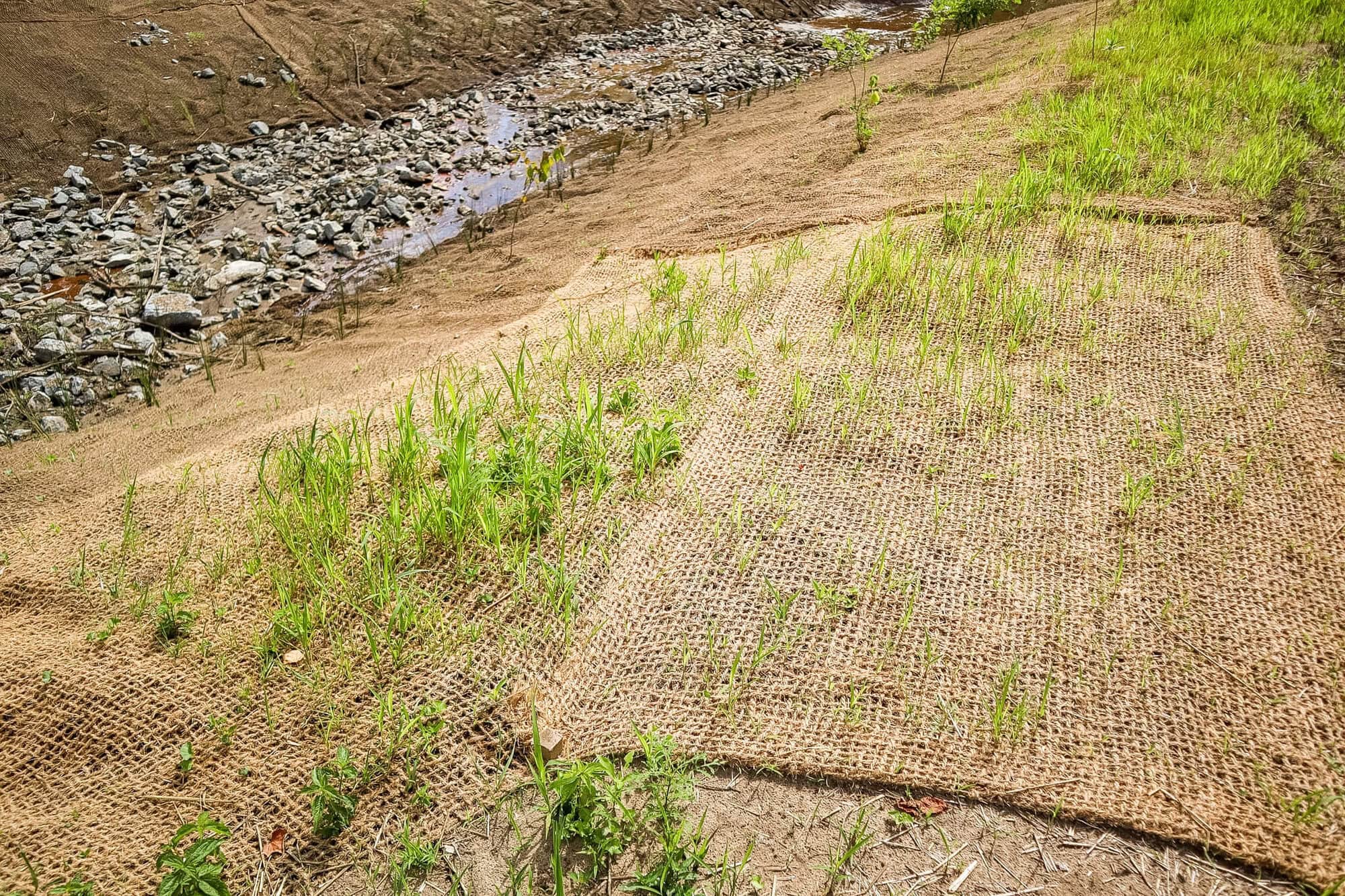 Deerwoode Floodplain Restoration Deerwoode Floodplain Restoration
