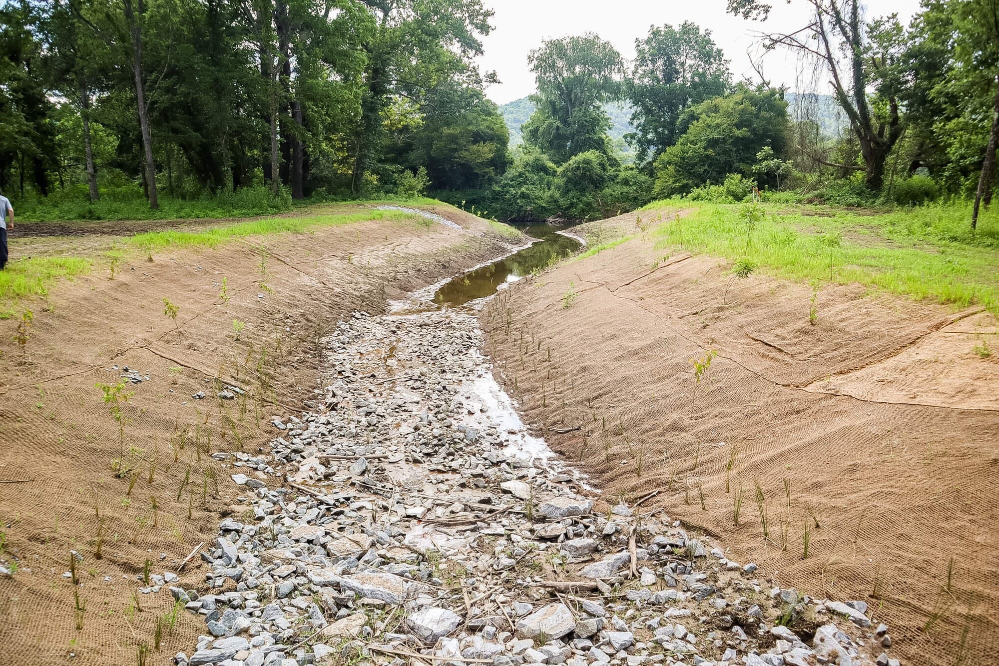 Deerwoode Floodplain Restoration