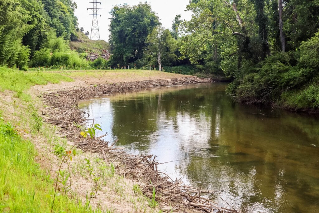 Deerwoode Floodplain Restoration